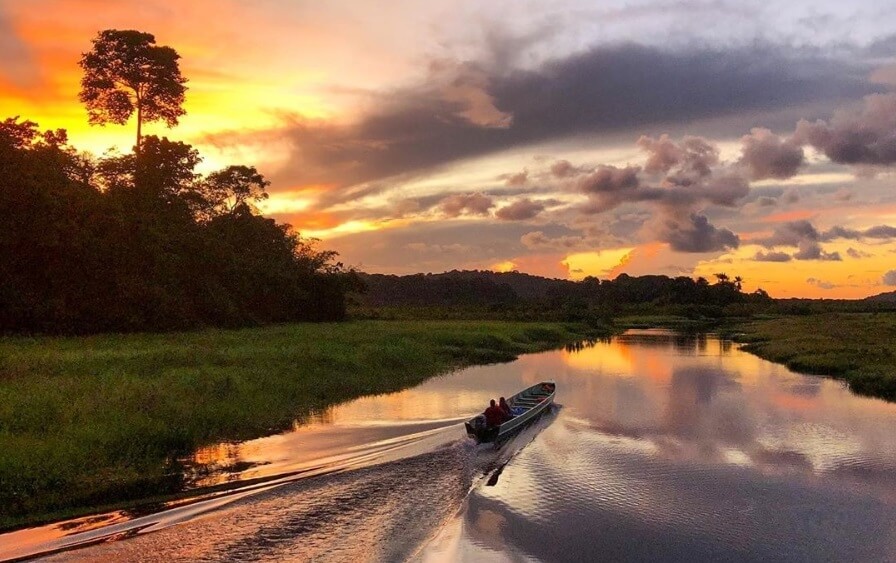 Le Morpho Un Ecolodge Flottant Pour Decouvrir Les Marais De Kaw Ewag Media Positif Ewag Fr Est Un Portail Sur L Actualite Des Entreprises En Martinique Guadeloupe Guyane Et A La Reunion